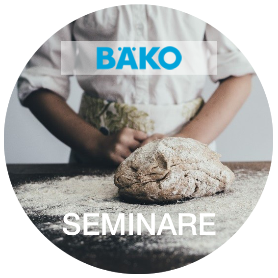 baeko-seminare